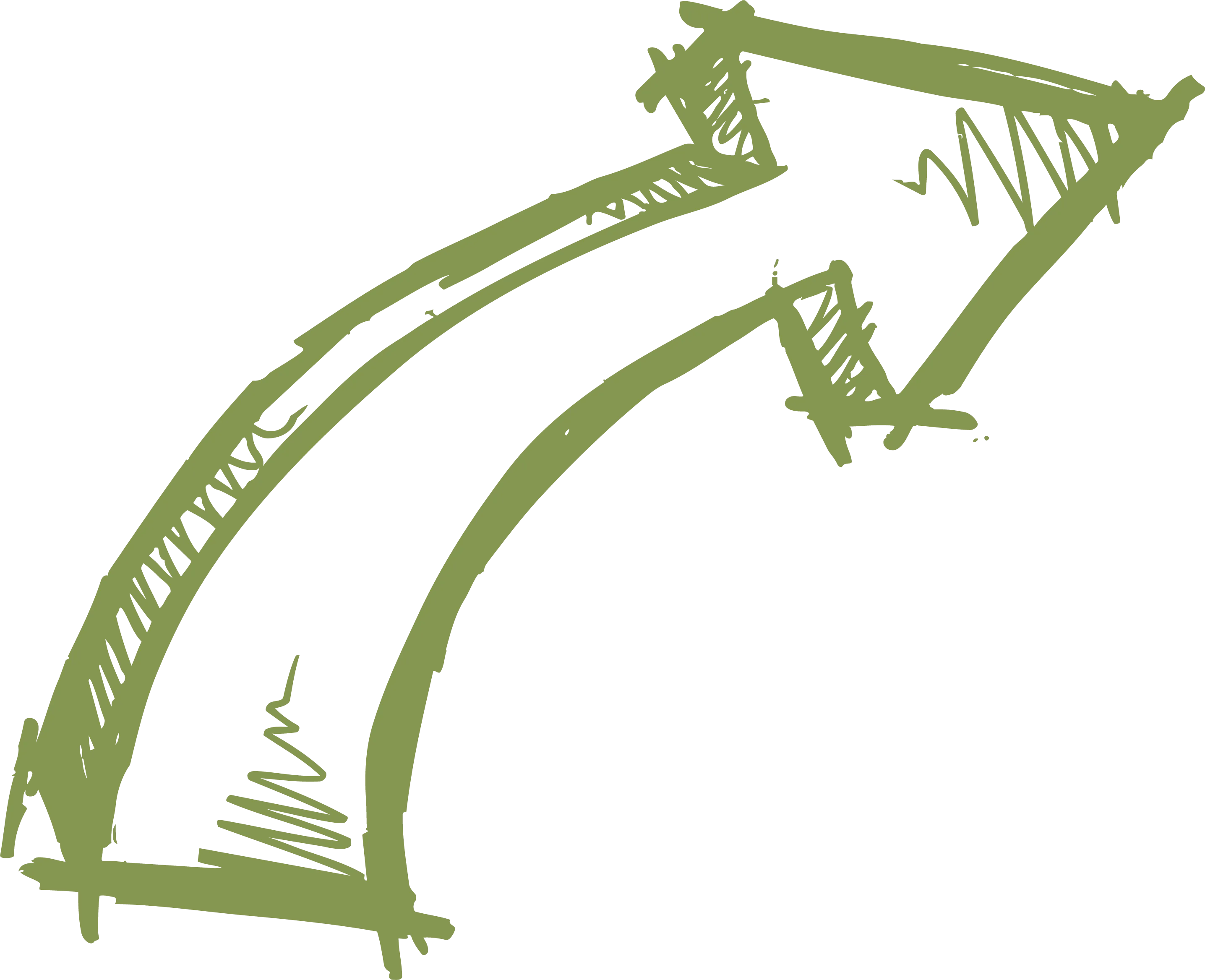 Drawing Arrow Euclidean Curve, Hand drawn arrow lines, green arrow illustration, angle, leaf, text png